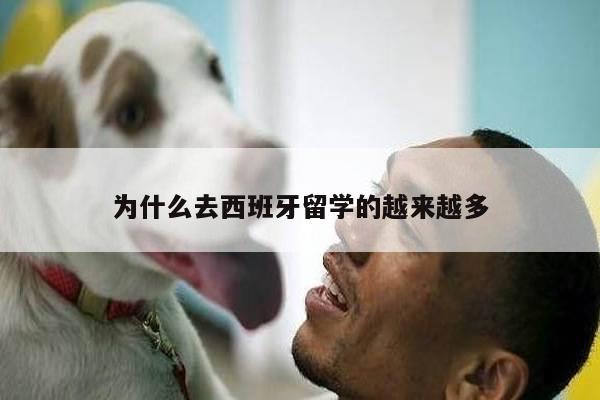 为什么去西班牙留学的越来越多