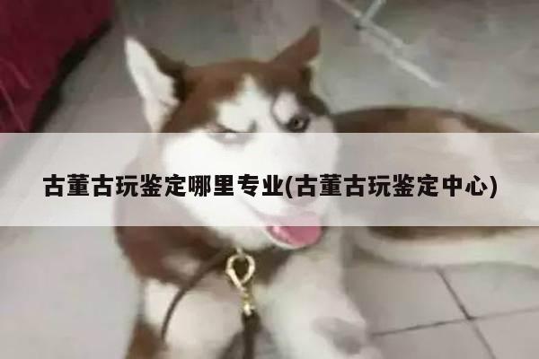 古董古玩鉴定哪里专业(古董古玩鉴定中心)
