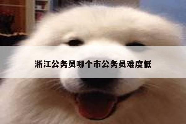 浙江公务员哪个市公务员难度低