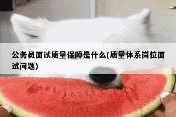 公务员面试质量保障是什么(质量体系岗位面试问题)