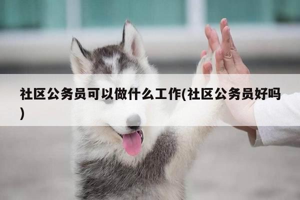 社区公务员可以做什么工作(社区公务员好吗)