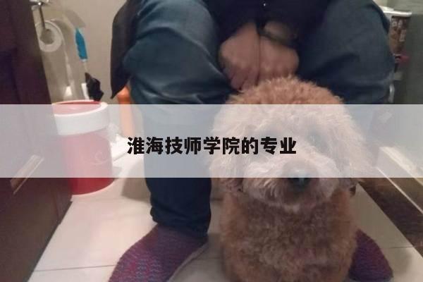 淮海技师学院的专业