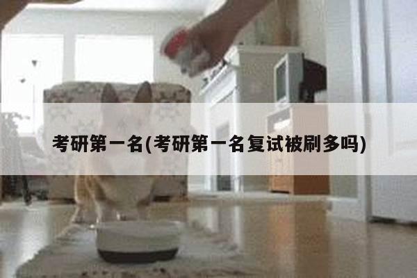 考研第一名(考研第一名复试被刷多吗)
