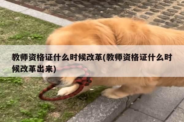 教师资格证什么时候改革(教师资格证什么时候改革出来)