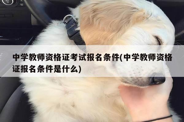 中学教师资格证考试报名条件(中学教师资格证报名条件是什么)