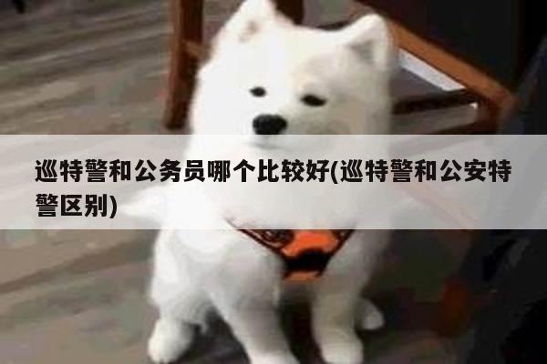 巡特警和公务员哪个比较好(巡特警和公安特警区别)