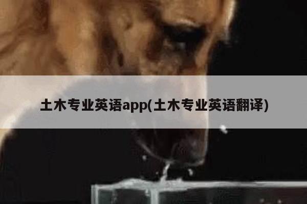 土木专业英语app(土木专业英语翻译)