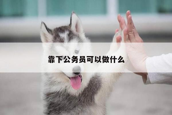 靠下公务员可以做什么