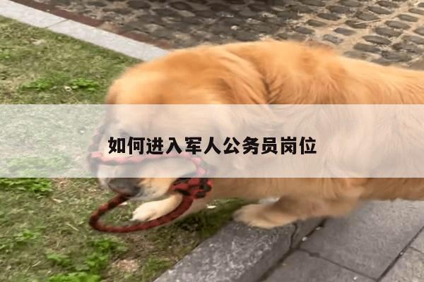 如何进入军人公务员岗位