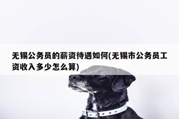 无锡公务员的薪资待遇如何(无锡市公务员工资收入多少怎么算)