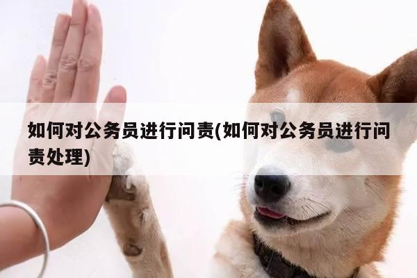 如何对公务员进行问责(如何对公务员进行问责处理)