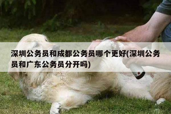 深圳公务员和成都公务员哪个更好(深圳公务员和广东公务员分开吗)