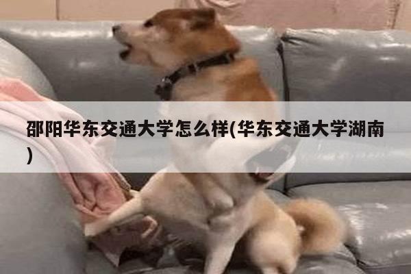 邵阳华东交通大学怎么样(华东交通大学湖南)