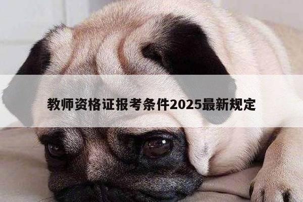 教师资格证报考条件2025最新规定