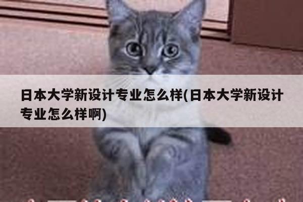 日本大学新设计专业怎么样(日本大学新设计专业怎么样啊)