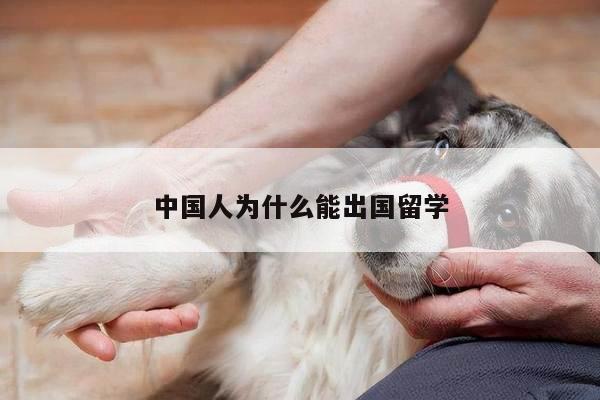 中国人为什么能出国留学