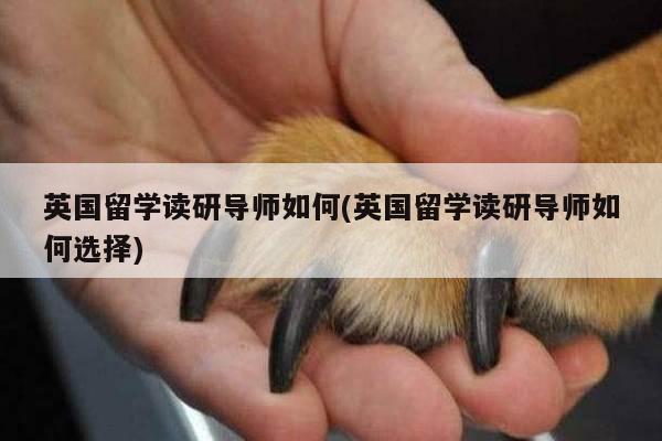 英国留学读研导师如何(英国留学读研导师如何选择)