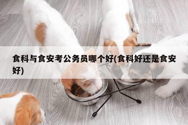 食科与食安考公务员哪个好(食科好还是食安好)