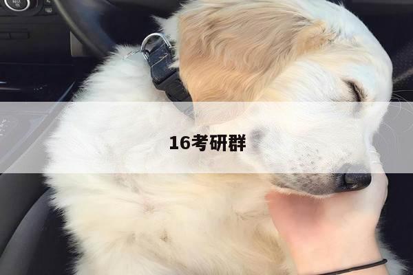 16考研群