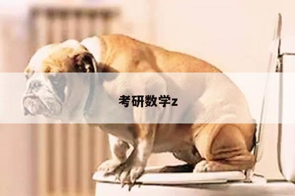考研数学z