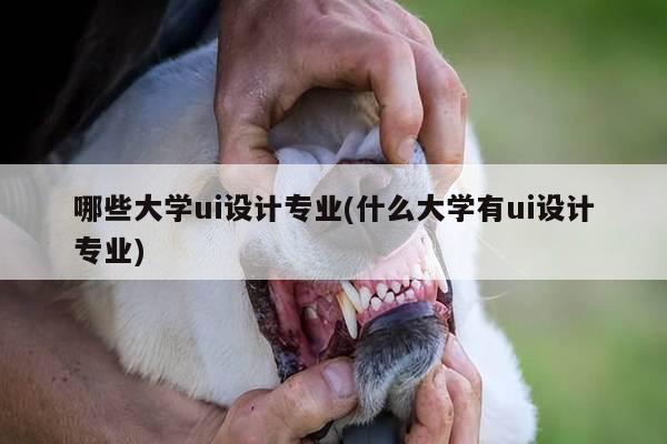 哪些大学ui设计专业(什么大学有ui设计专业)