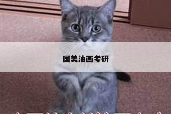 国美油画考研