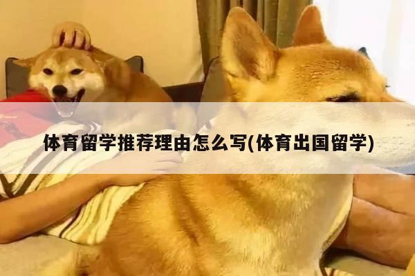 体育留学推荐理由怎么写(体育出国留学)