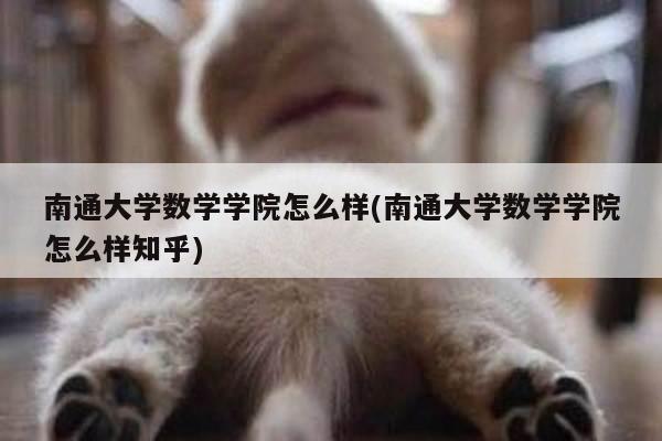 南通大学数学学院怎么样(南通大学数学学院怎么样知乎)