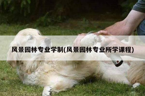 风景园林专业学制(风景园林专业所学课程)
