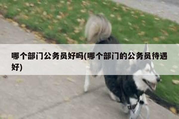 哪个部门公务员好吗(哪个部门的公务员待遇好)