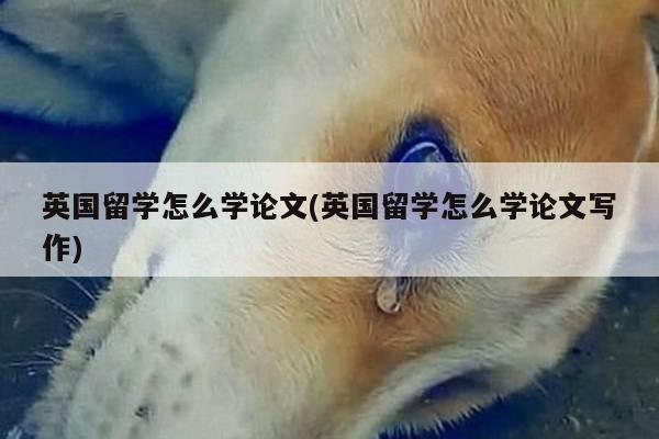 英国留学怎么学论文(英国留学怎么学论文写作)