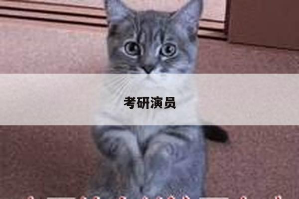 考研演员