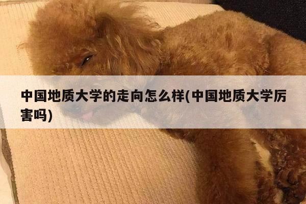 中国地质大学的走向怎么样(中国地质大学厉害吗)