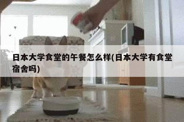 日本大学食堂的午餐怎么样(日本大学有食堂宿舍吗)