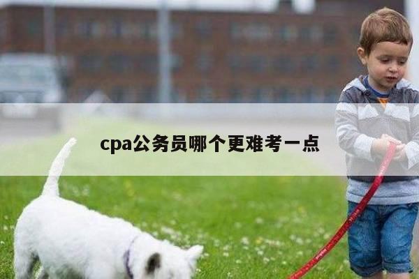 cpa公务员哪个更难考一点