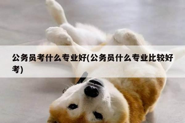 公务员考什么专业好(公务员什么专业比较好考)