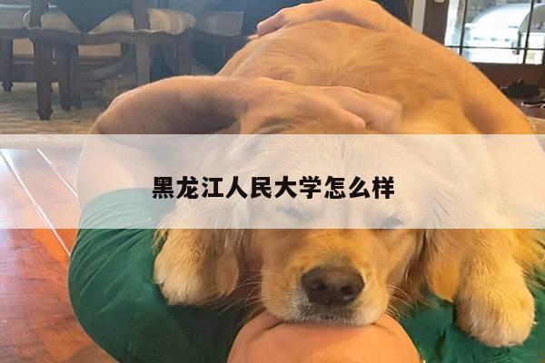 黑龙江人民大学怎么样