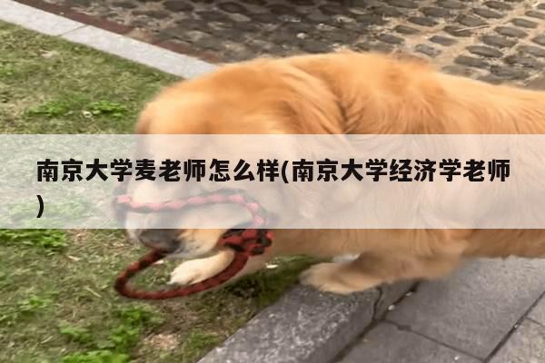 南京大学麦老师怎么样(南京大学经济学老师)