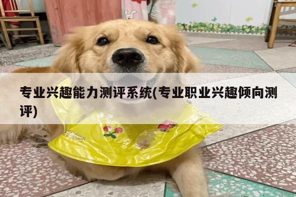 专业兴趣能力测评系统(专业职业兴趣倾向测评)