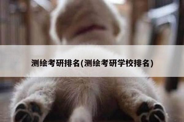 测绘考研排名(测绘考研学校排名)