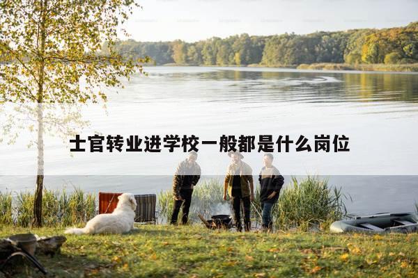 士官转业进学校一般都是什么岗位