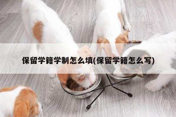 保留学籍学制怎么填(保留学籍怎么写)