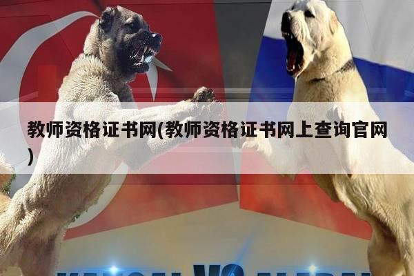教师资格证书网(教师资格证书网上查询官网)