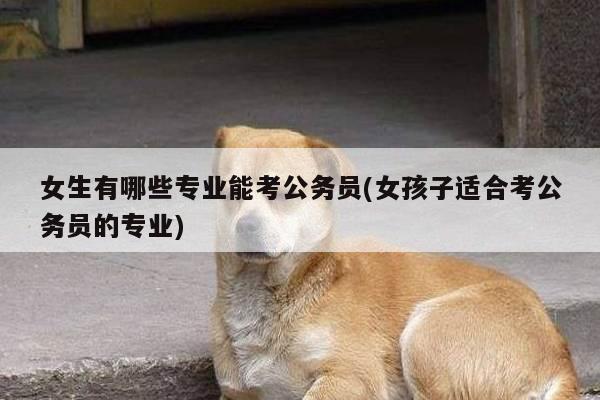 女生有哪些专业能考公务员(女孩子适合考公务员的专业)