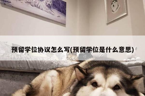 预留学位协议怎么写(预留学位是什么意思)