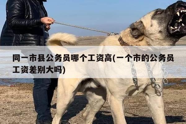 同一市县公务员哪个工资高(一个市的公务员工资差别大吗)