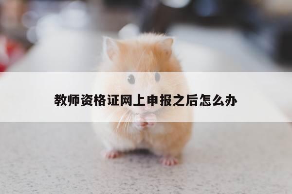 教师资格证网上申报之后怎么办