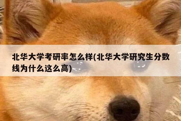 北华大学考研率怎么样(北华大学研究生分数线为什么这么高)