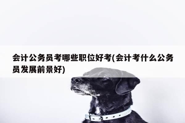会计公务员考哪些职位好考(会计考什么公务员发展前景好)
