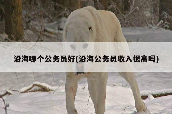 沿海哪个公务员好(沿海公务员收入很高吗)